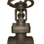 گیت ولو 1/2-1 اینچ کلاس 800